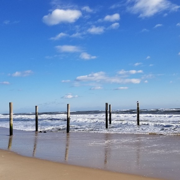 Meet your Posher, Darlene - Picture 1 of 1